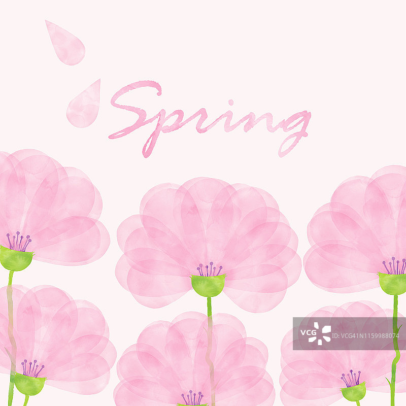 粉红色的春花背景。手绘分层水彩花卉剪辑艺术。水彩花卉图案。设计元素的贺卡和婚礼，生日和其他假期和夏季邀请卡背景。图片素材