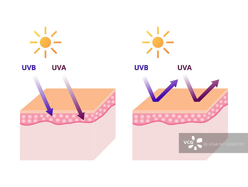 UVA和UVB辐射类型，紫外线防护防晒矢量图图片素材