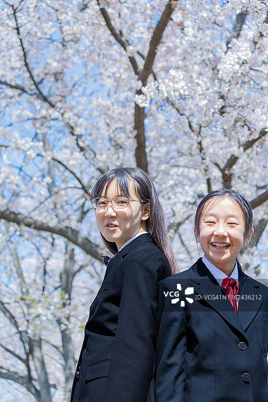 少女们穿着校服背对着樱花树微笑图片素材