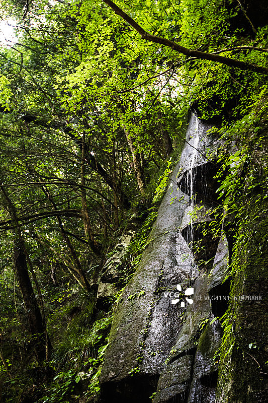 清澈的水滴沿着岩石表面流动。在Akame的48瀑布图片素材