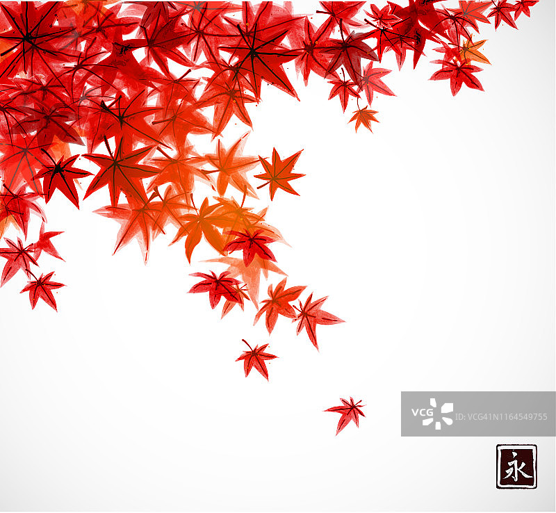 秋天日本枫树的红叶。传统的日本水墨画。图片素材