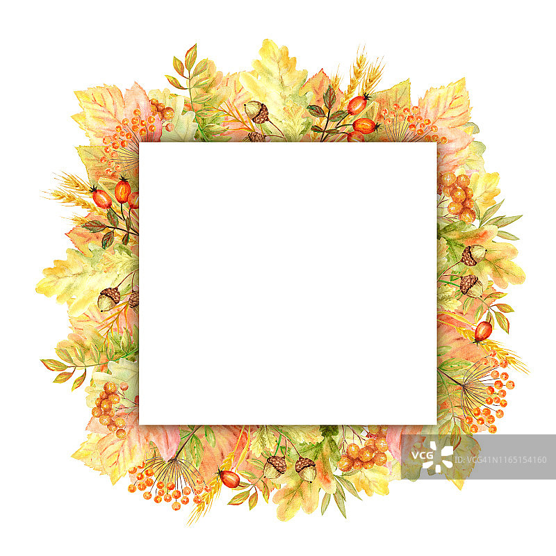 秋叶框架孤立在一个白色的背景。水彩秋叶手绘插画。图片素材