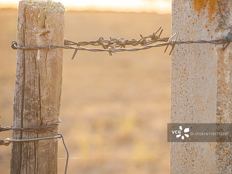 萨拉曼卡沙漠的一根篱笆柱上的带刺铁丝网图片素材