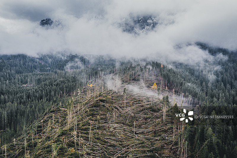 意大利Dolomites无人机拍摄的森林遭受风暴破坏图片素材