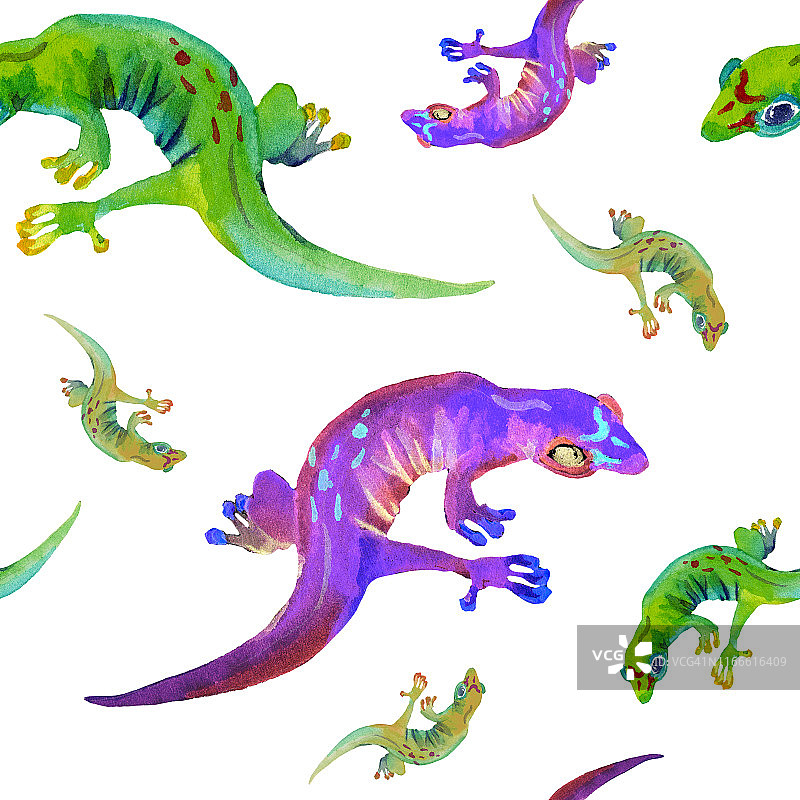 水彩手绘无缝模式的不同颜色的蜥蜴在白色的背景。图片素材