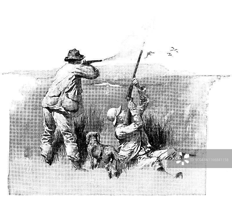 在美国北达科他州猎鸭——19世纪图片素材