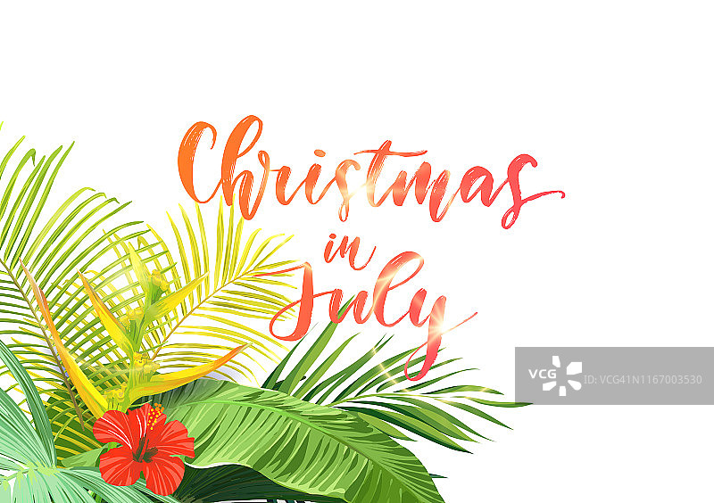 在夏季的圣诞海滩上设计用绿色的棕榈叶和热带芙蓉花，矢量插图。图片素材