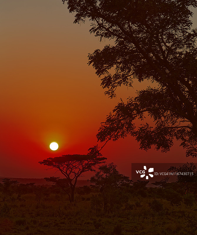 Sunset-Limpopo垂直图片素材