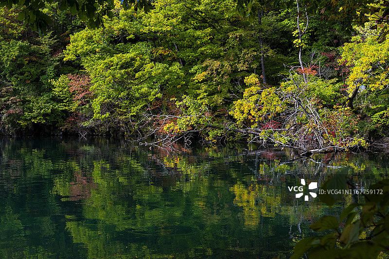 沿着日本北海道草沙罗湖漫步图片素材
