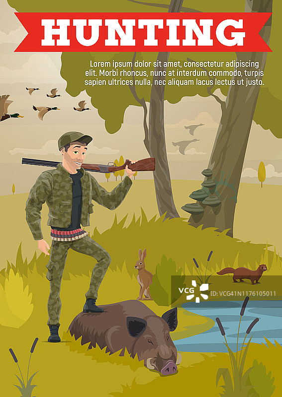 狩猎季节的动物，狩猎战利品的野猪图片素材