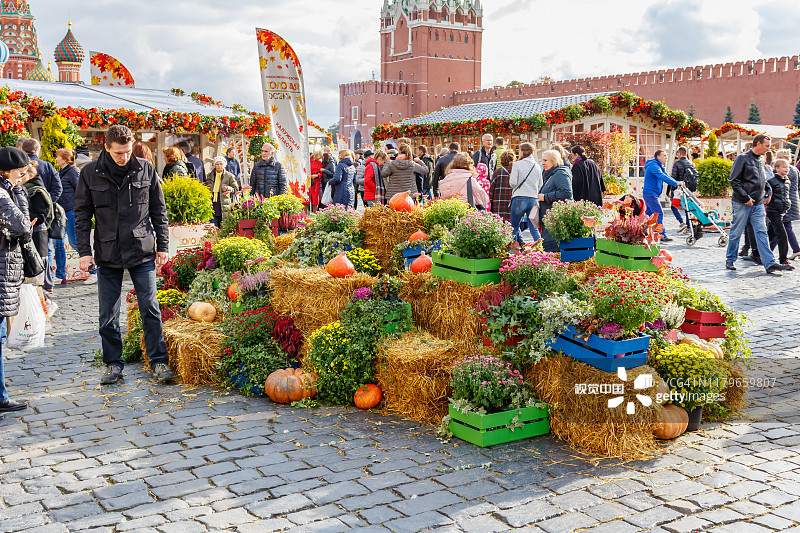 莫斯科红场传统节日金秋上的蔬菜和植物装饰装置图片素材
