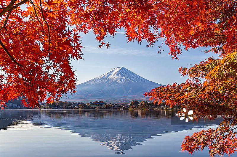 日本山梨县川口湖上的富士山秋日枫叶。富士山位于本州岛，是日本最高的山。图片素材