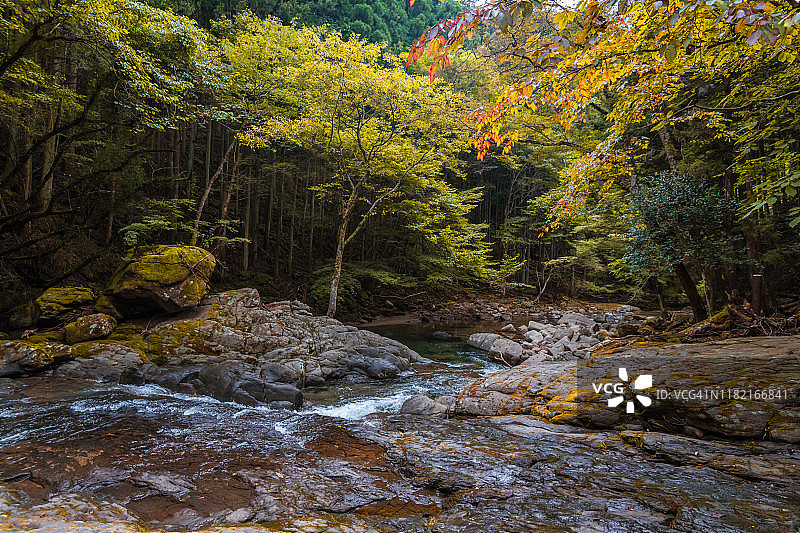 山川绿林。Akame 48瀑布，三重，日本图片素材