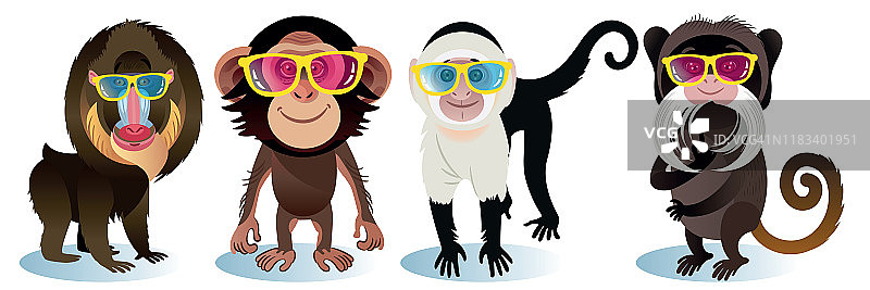猴子戴眼镜图片素材