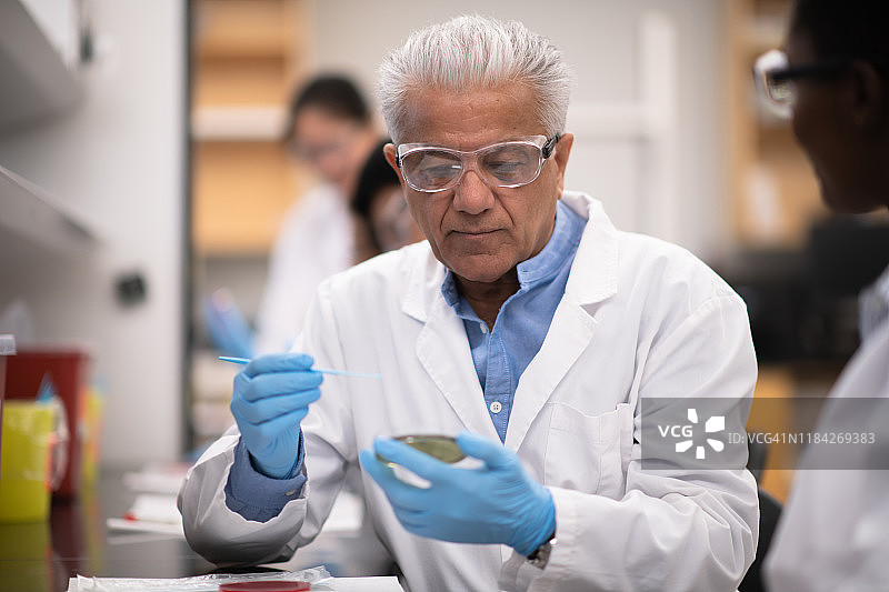 一位成熟的男性实验室技术员在教学生如何检查细胞培养皿的照片图片素材