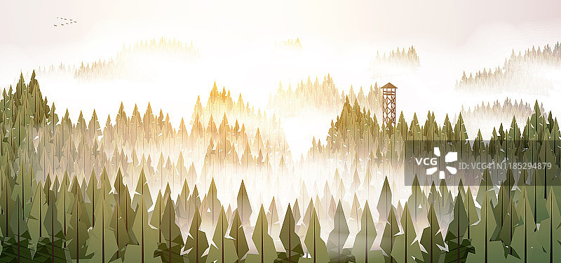 松树林和瞭望塔全景图片素材