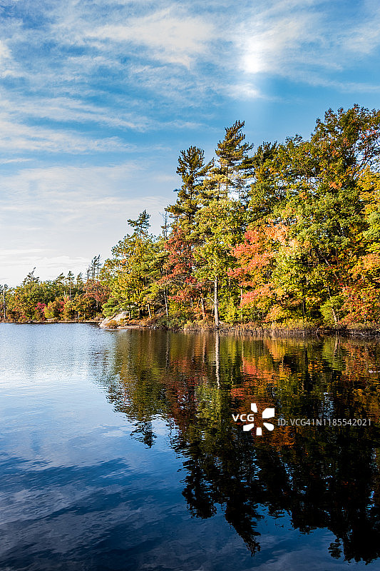 湖边五颜六色的秋叶图片素材