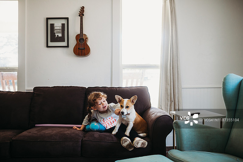 小女孩在客厅的沙发上和柯基狗玩耍图片素材