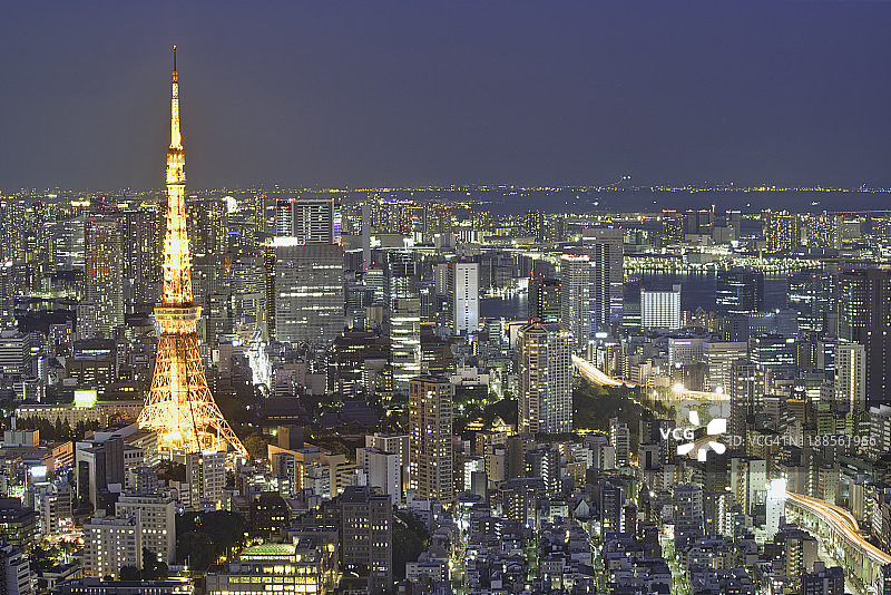 东京塔和拥挤的摩天大楼在夜晚的东京。图片素材
