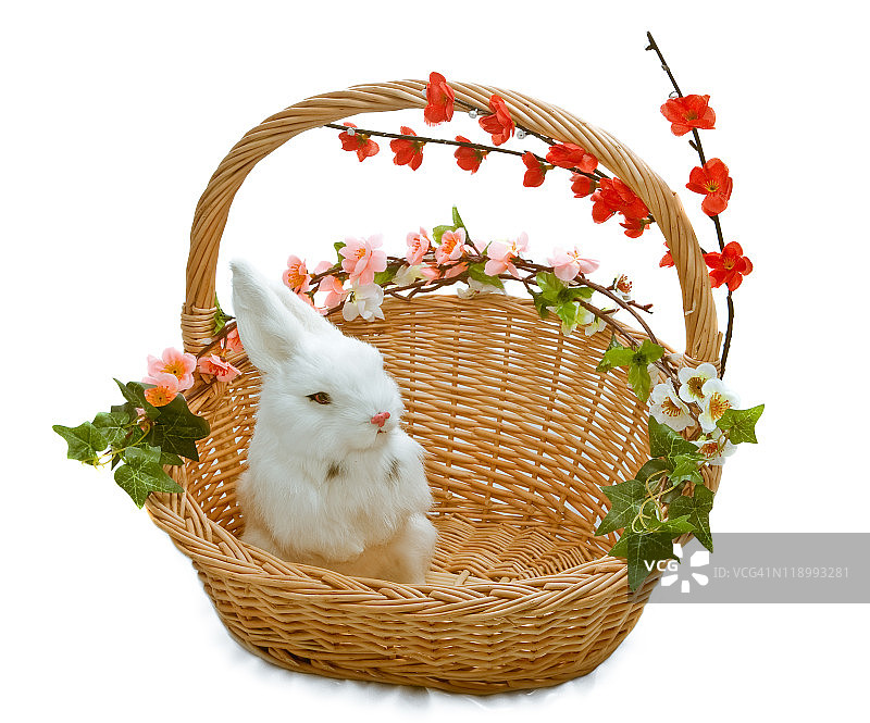 可爱的小兔子在花篮里图片素材