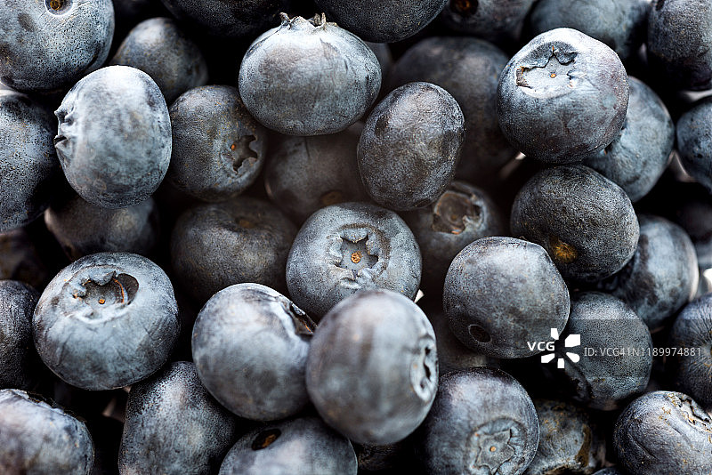 特写新鲜的蓝莓背景图片素材