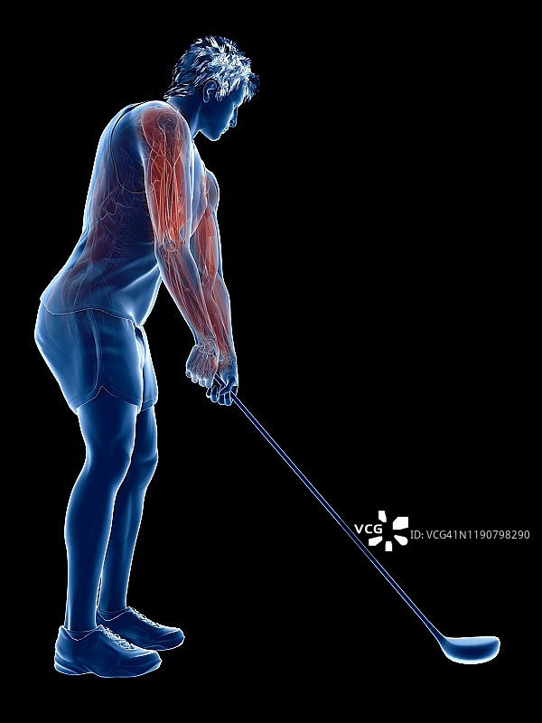 高尔夫运动员的肌肉，说明图片素材