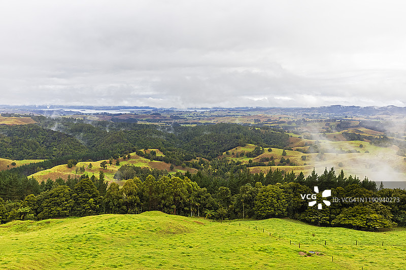 在大洋洲，新西兰，在多云的天空下的绿色景观的风景图片素材