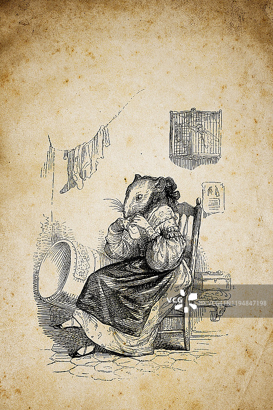 人性化动物插图:老鼠图片素材