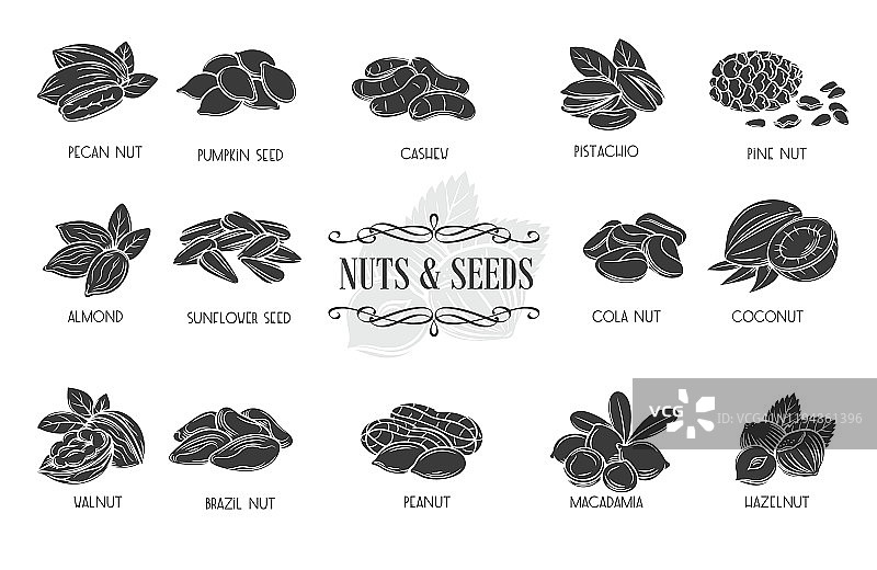 坚果和种子象形图标图片素材
