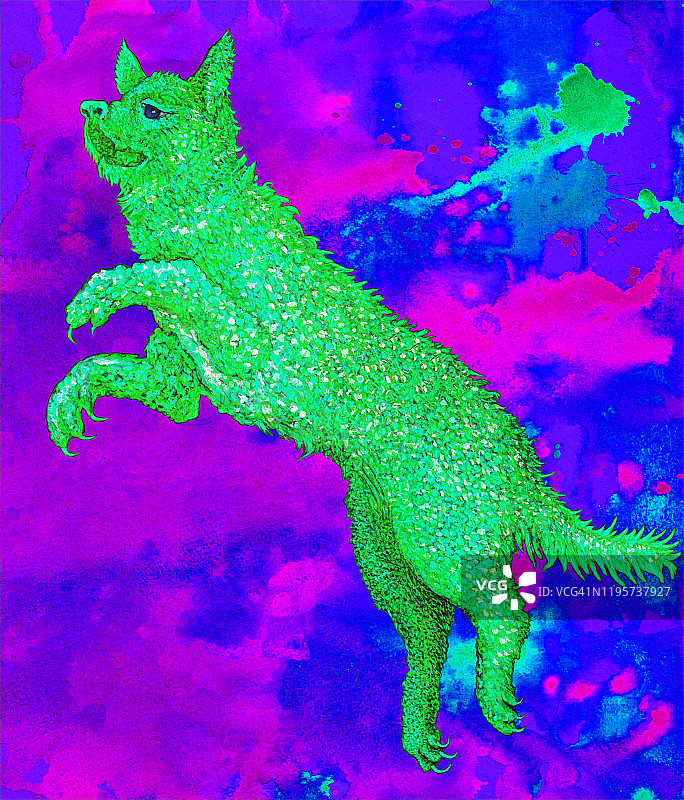 时尚的插画寓言作品艺术原水彩画象征跳仙狗在明亮的紫色夜空的背景图片素材