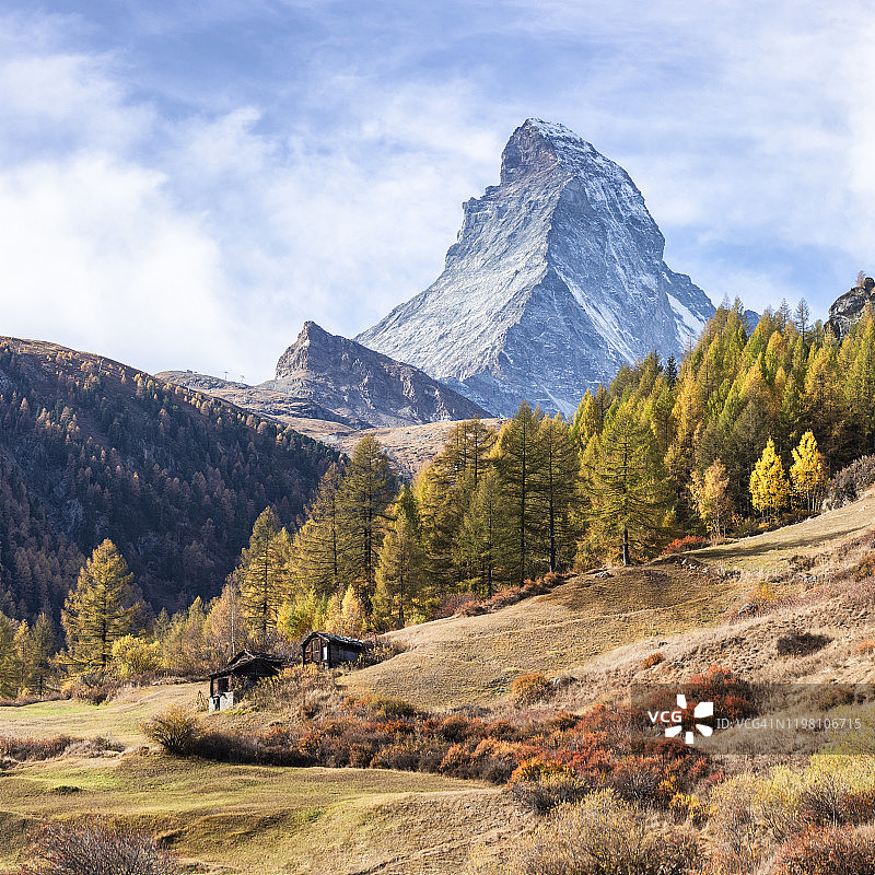 在落叶松的框架中的马特洪峰，瑞士图片素材