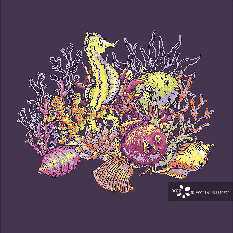 复古海洋生活自然贺卡，水下矢量插图图片素材