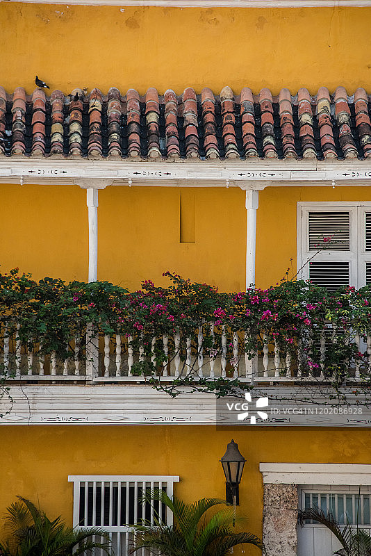 带有鲜花的殖民地住宅阳台图片素材