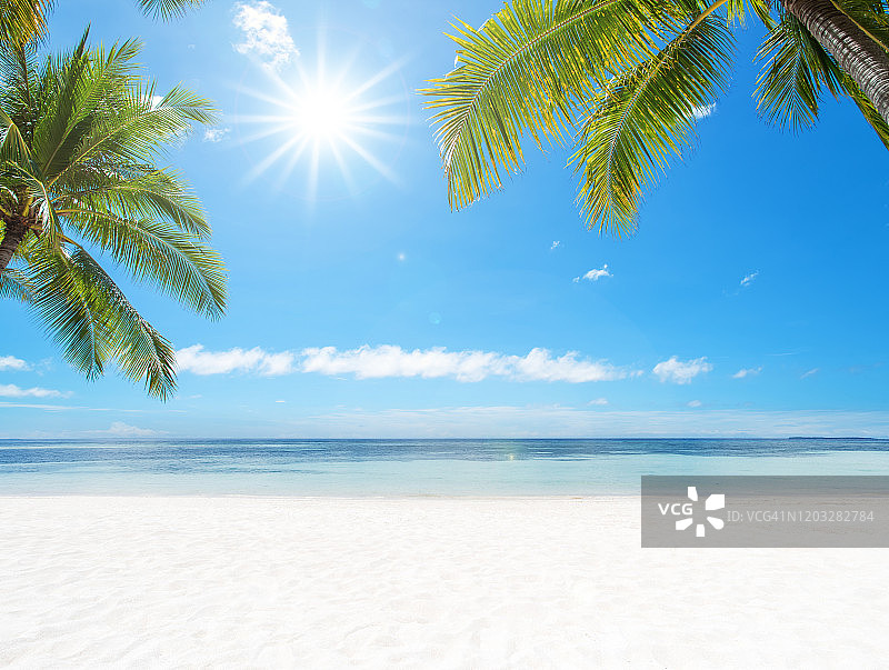 异国情调的白色沙滩，椰子树和阳光图片素材