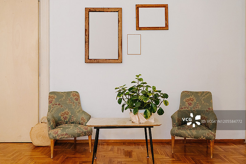 有咖啡桌和沙发椅的客厅图片素材