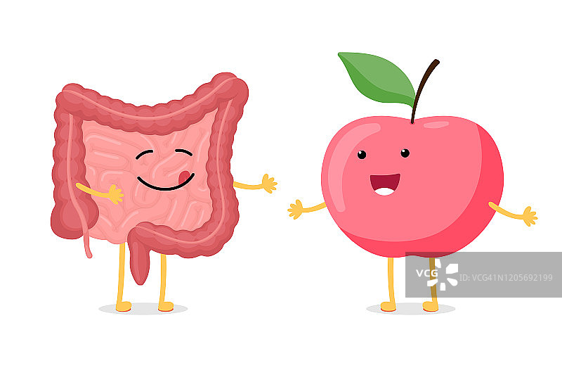 可爱的卡通健康的肠和红色的微笑的苹果人物。腹腔消化排泄人体内脏器官和蔬菜食物。向量解剖学插图图片素材