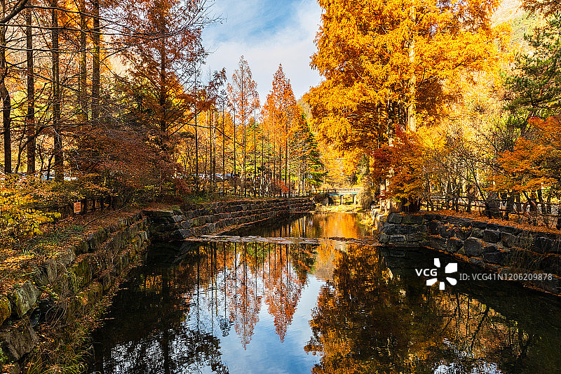 韩国大田长台山的秋季景观图片素材