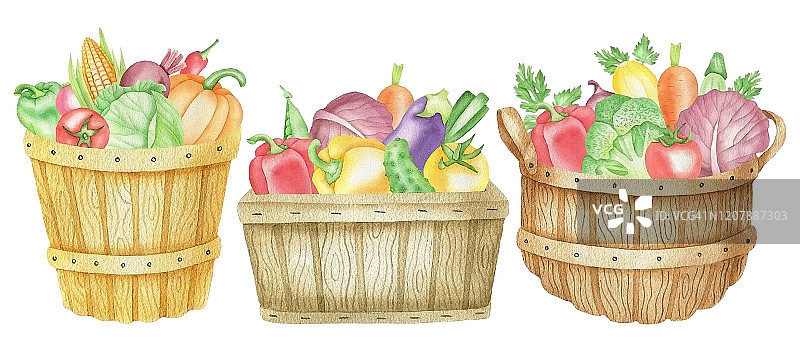 与vegetables.jpg蒲式耳图片素材