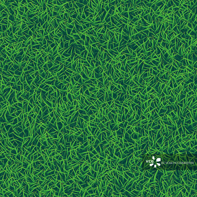 绿草逼真的纹理背景，俯视图图片素材