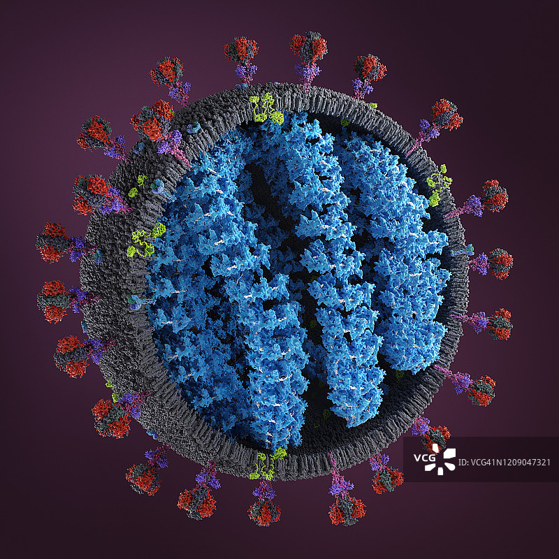 冠状病毒的详细结构。(SARS-CoV-2)图片素材