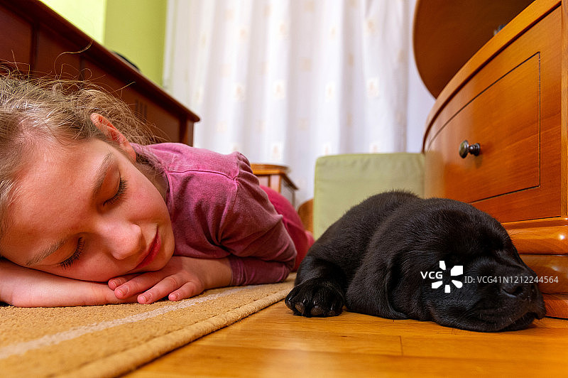 女孩睡在一只黑色的拉布拉多小狗旁边图片素材
