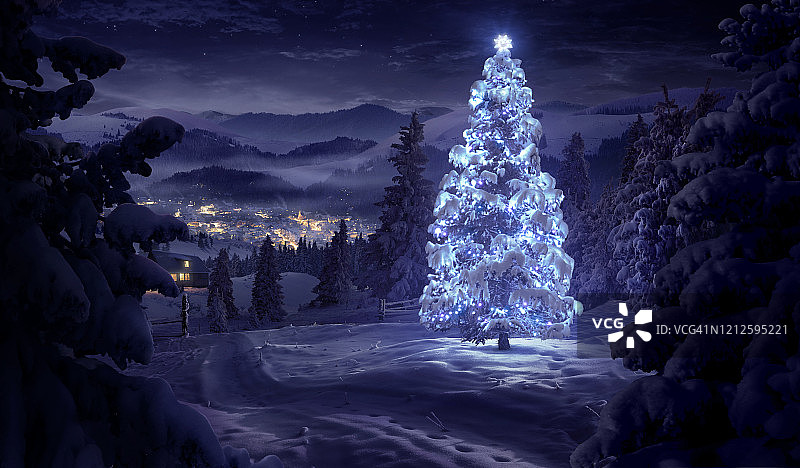 圣诞树在冬天照亮森林图片素材
