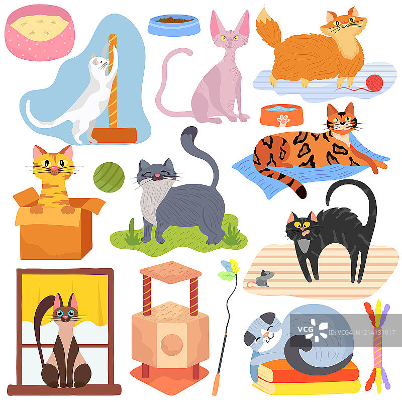 不同品种的猫，一套可爱的宠物贴纸，矢量插图图片素材