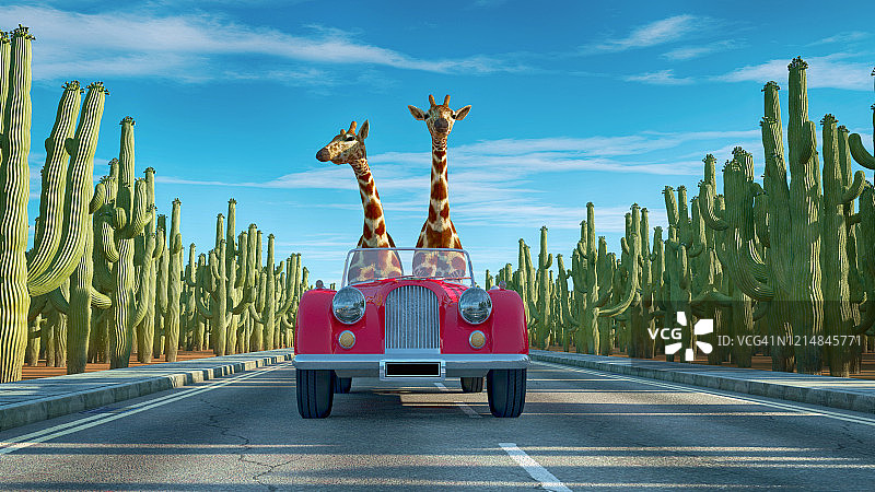 复古车里的长颈鹿夫妇。Safari旅行概念。这是一个3d渲染图。图片素材