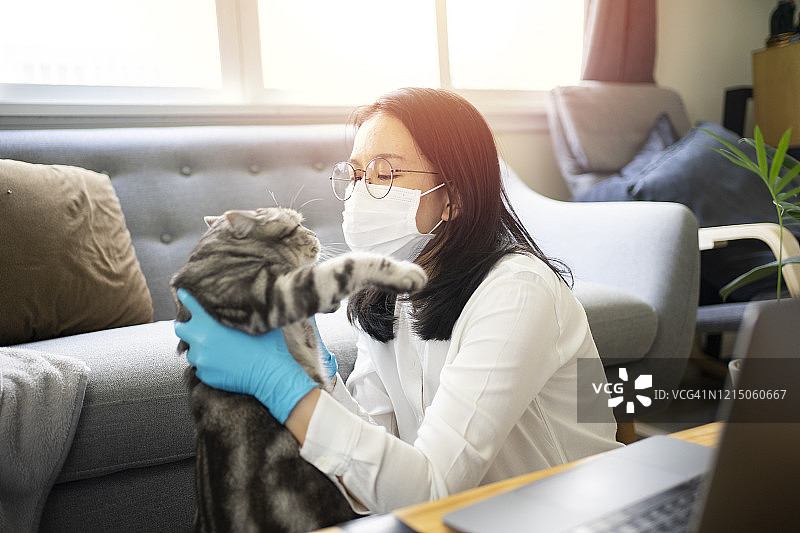 亚洲女性抱着大猫和疫情爆发14天并在家工作，阻止新冠病毒(冠状病毒)的传播图片素材