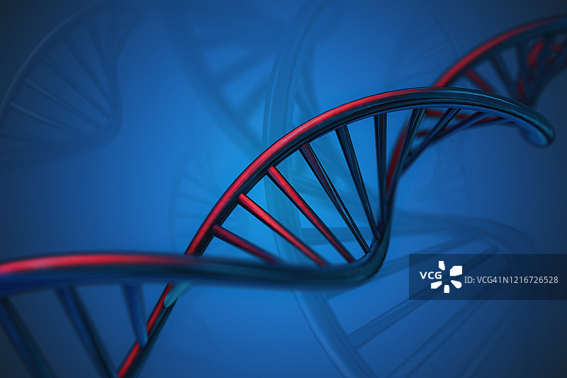 DNA结构的干净3d插图。抽象的背景。图片素材