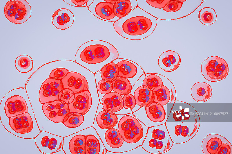 病毒的细胞图片素材