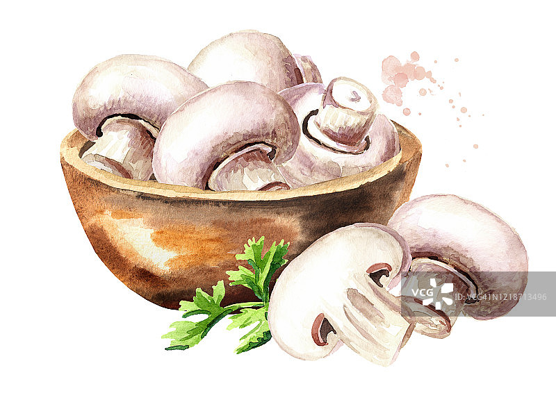 一碗新鲜蘑菇香槟。水彩手绘插图，孤立的白色背景图片素材