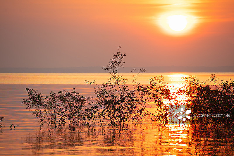 在巴西玛瑙斯的亚马逊盆地，落日在地平线上缓缓落下图片素材