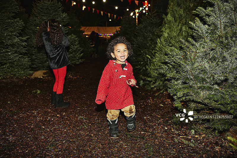 微笑的蹒跚学步的男孩拿着糖果拐杖，与家人一起购买圣诞树图片素材